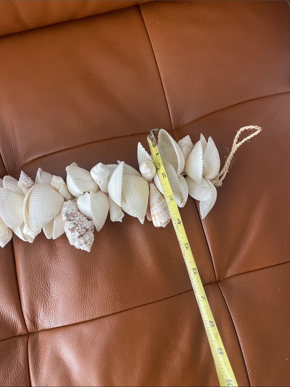 Shell Decor Strand - Picture 7 of 7